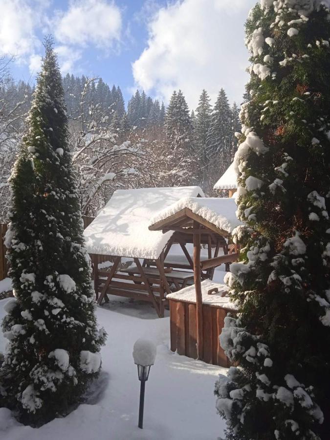 На Березі Черемошу Verkhovyna Bagian luar foto